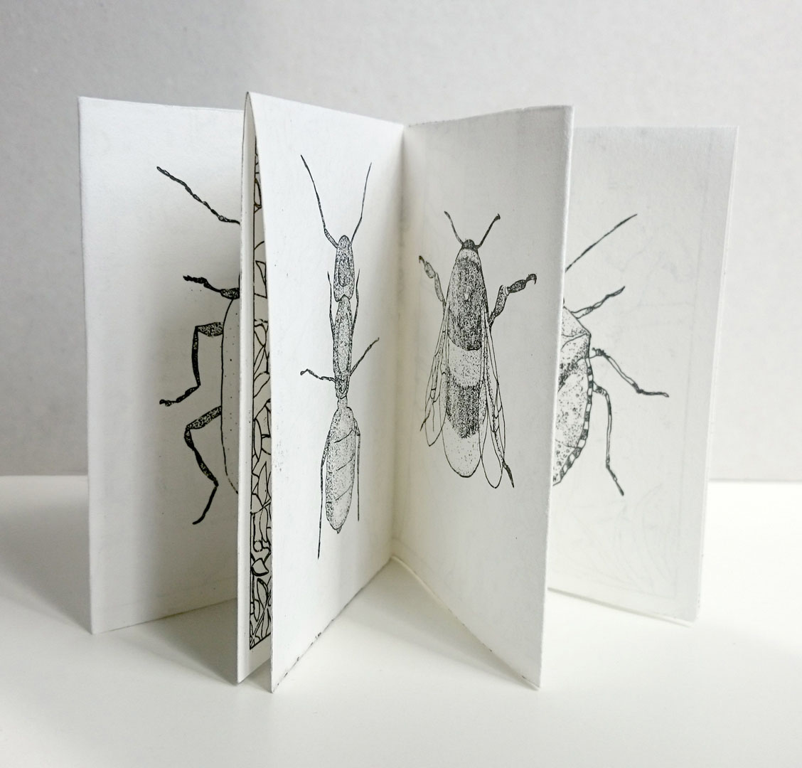 7INSECTES2019 (1)